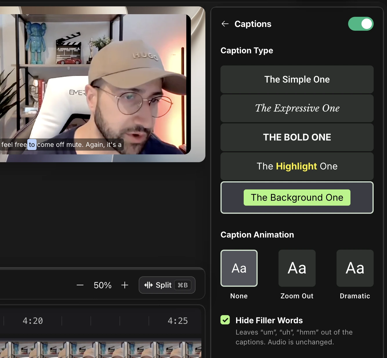 The Captions panel with style options