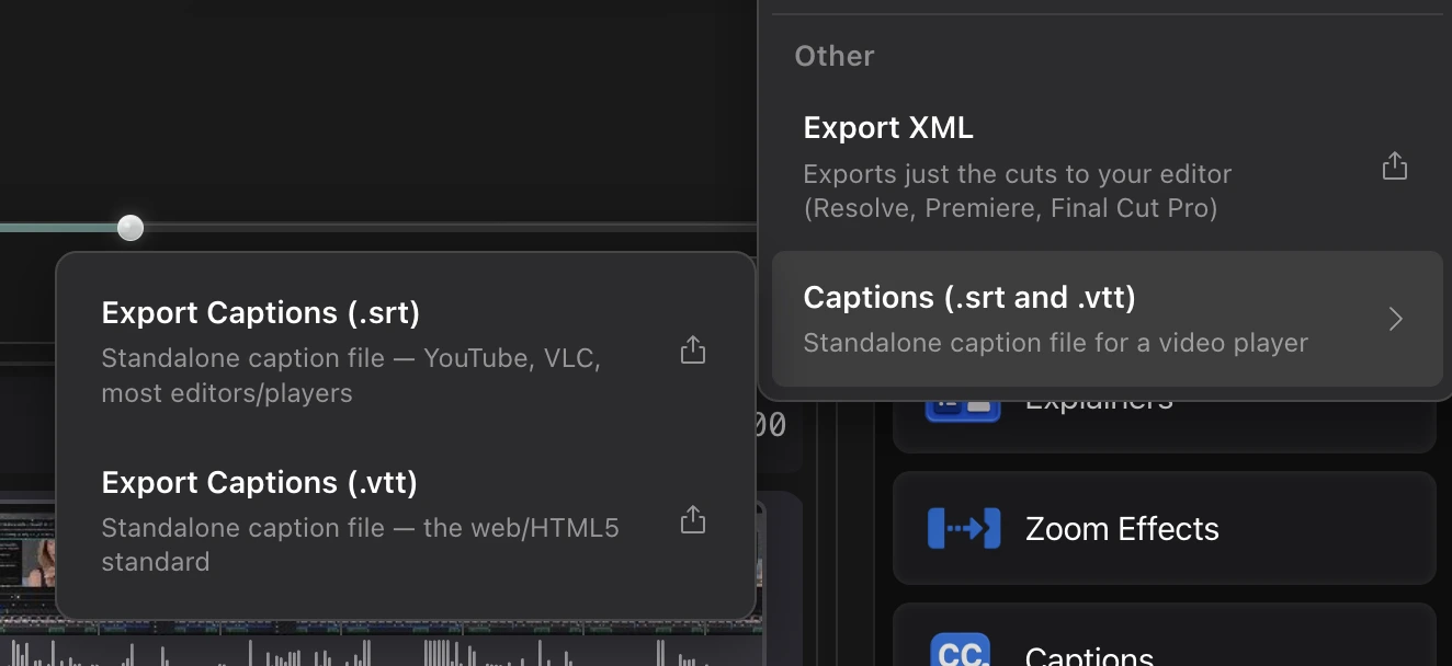 The Export Captions submenu